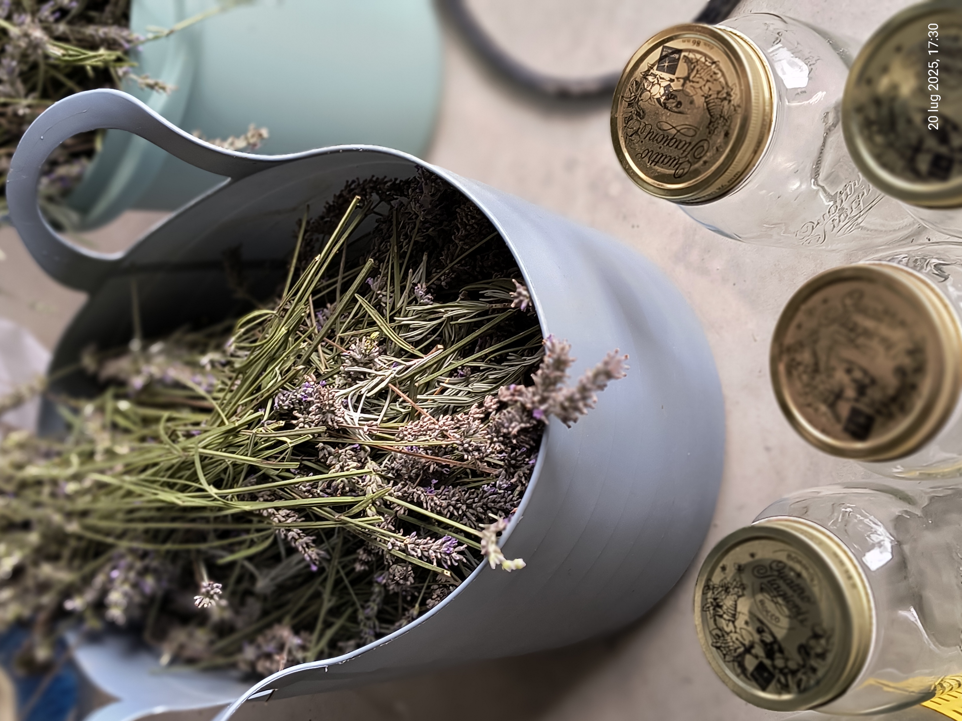 Lavanda e vasetti di miele